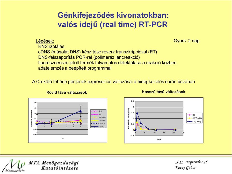 adatelemzés a beépített programmal A Ca-kötő fehérje génjének expressziós változásai a hidegkezelés során búzában Rövid távú változások Hosszú távú változások