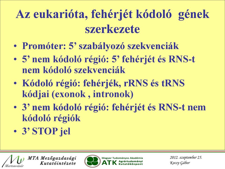 kódoló szekvenciák Kódoló régió: fehérjék, rrns és trns kódjai