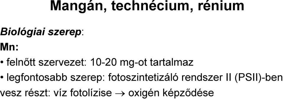 legfontosabb szerep: fotoszintetizáló rendszer