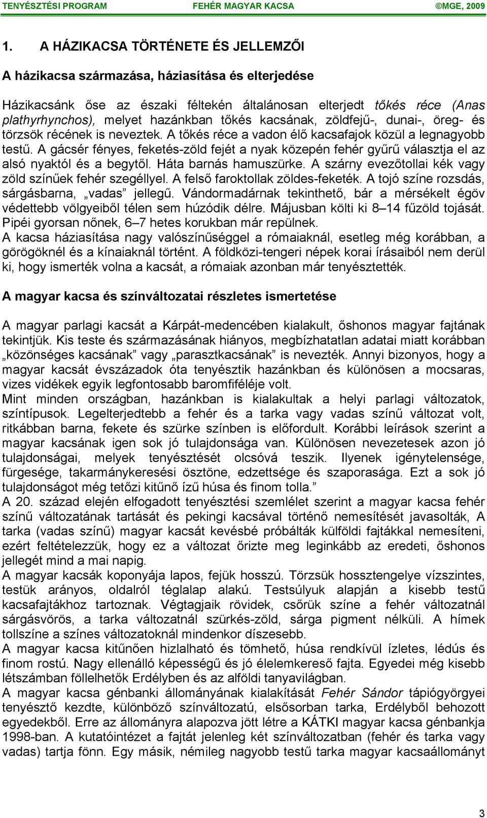 A gácsér fényes, feketés-zöld fejét a nyak közepén fehér gyűrű választja el az alsó nyaktól és a begytől. Háta barnás hamuszürke. A szárny evezőtollai kék vagy zöld színűek fehér szegéllyel.