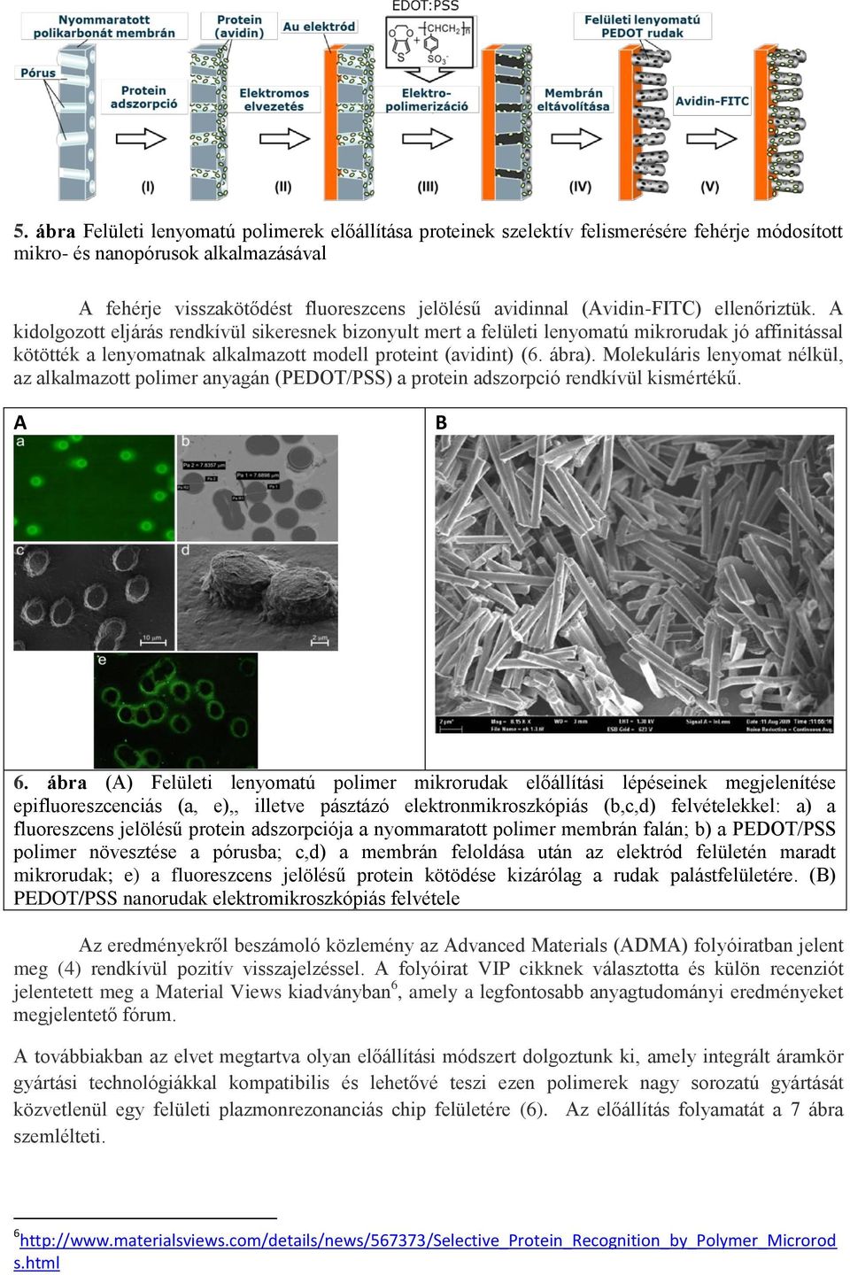 ábra). Molekuláris lenyomat nélkül, az alkalmazott polimer anyagán (PEDOT/PSS) a protein adszorpció rendkívül kismértékű. A B 6.