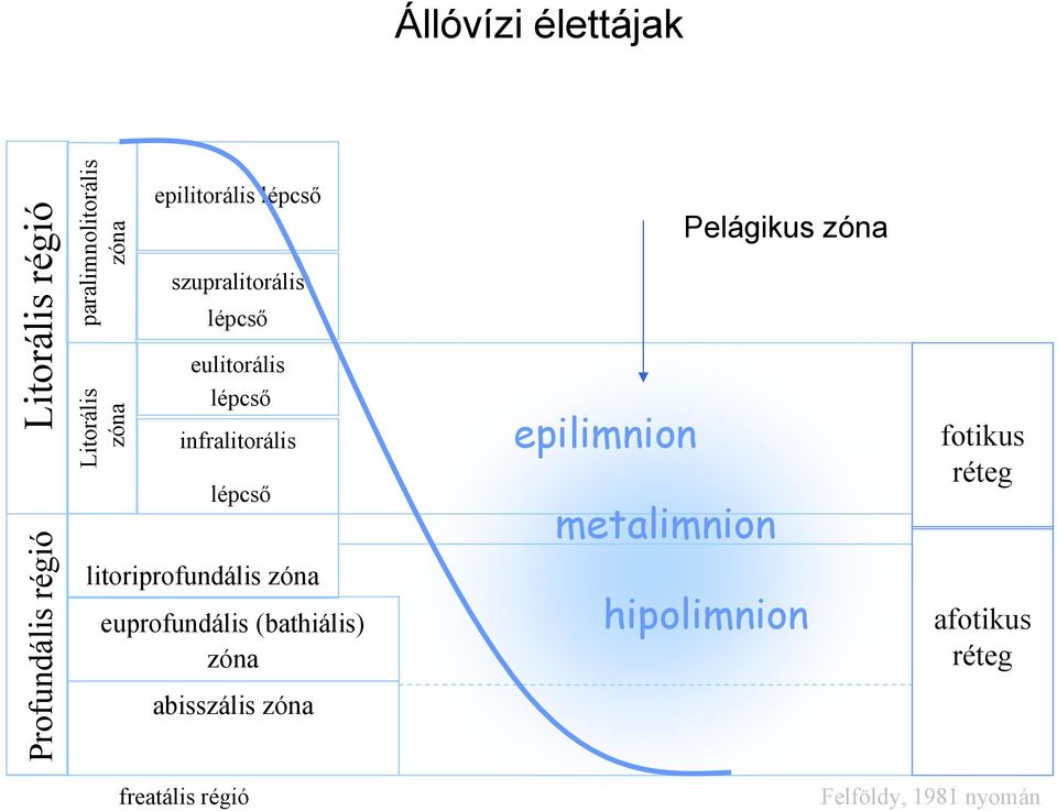 litoriprofundális zóna euprofundális (bathiális) zóna abisszális zóna Pelágikus zóna