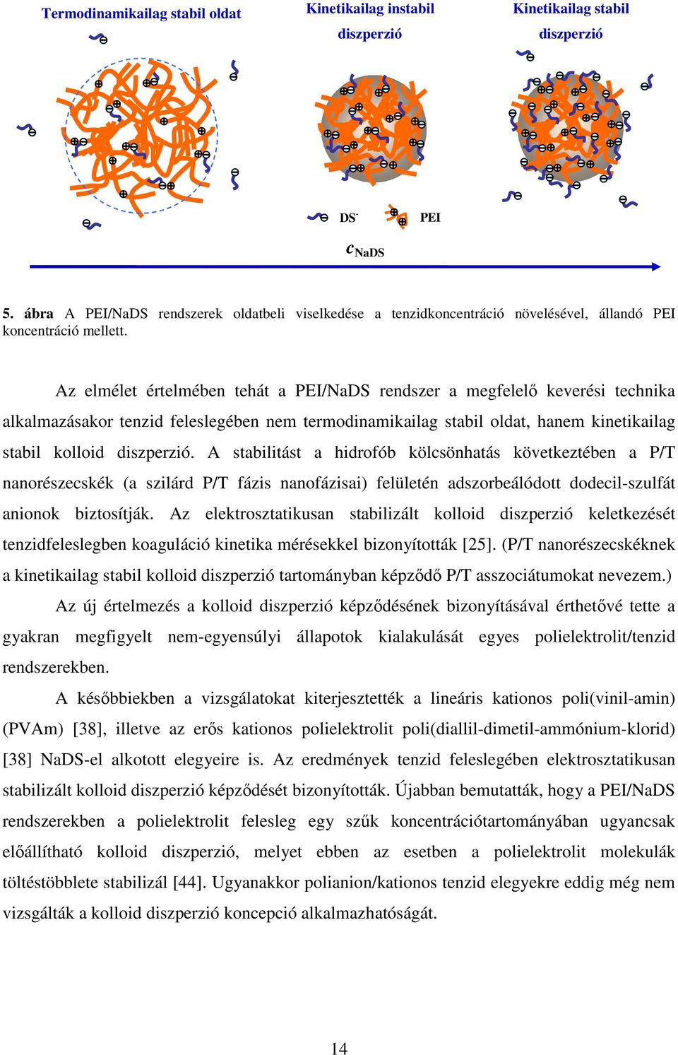 Az elmélet értelmében tehát a PEI/NaDS rendszer a megfelelő keverési technika alkalmazásakor tenzid feleslegében nem termodinamikailag stabil oldat, hanem kinetikailag stabil kolloid diszperzió.