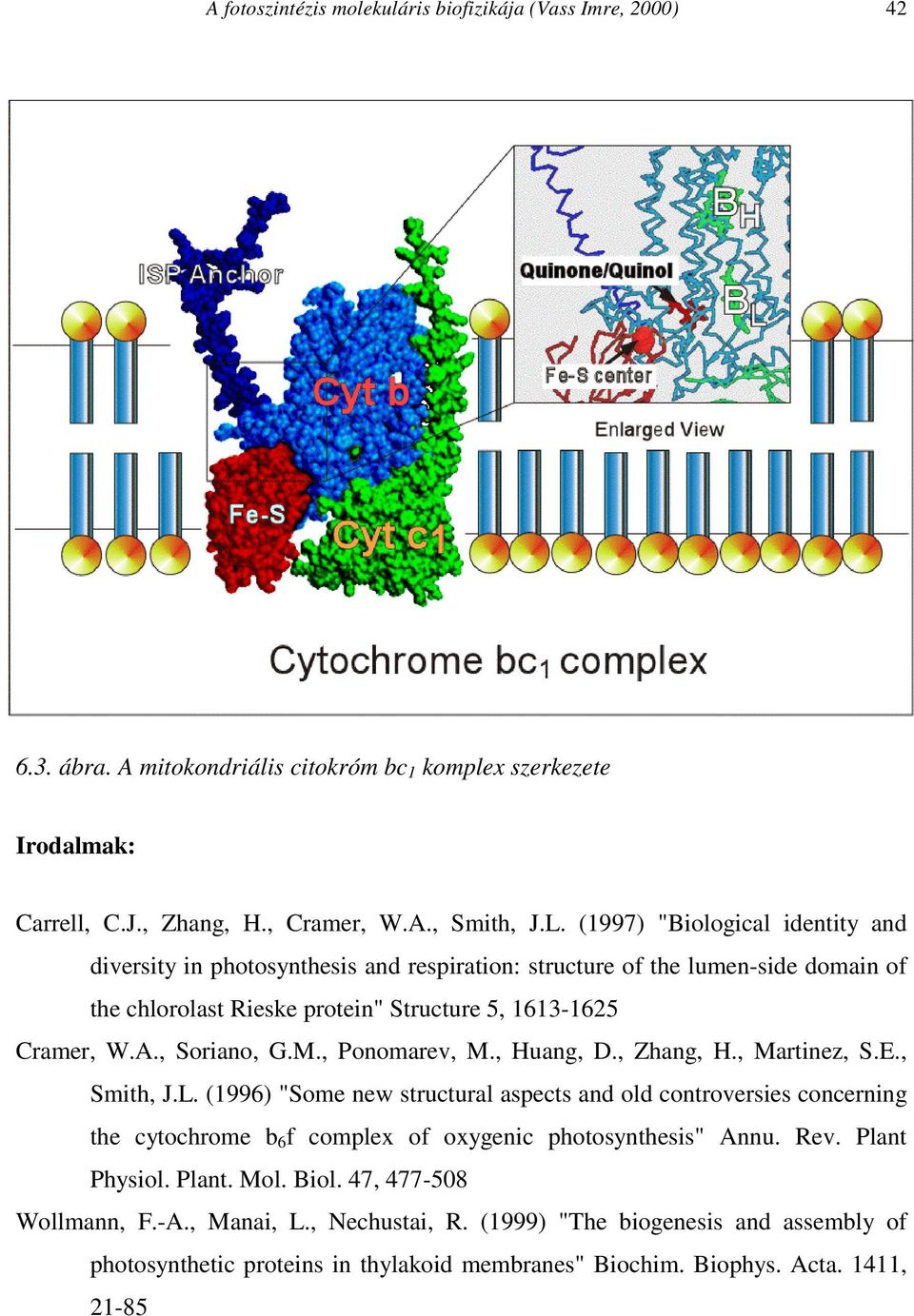 , Ponomarev, M., Huang, D., Zhang, H., Martinez, S.E., Smith, J.L. (1996) "Some new structural aspects and old controversies concerning the cytochrome b 6 f complex of oxygenic photosynthesis" Annu.
