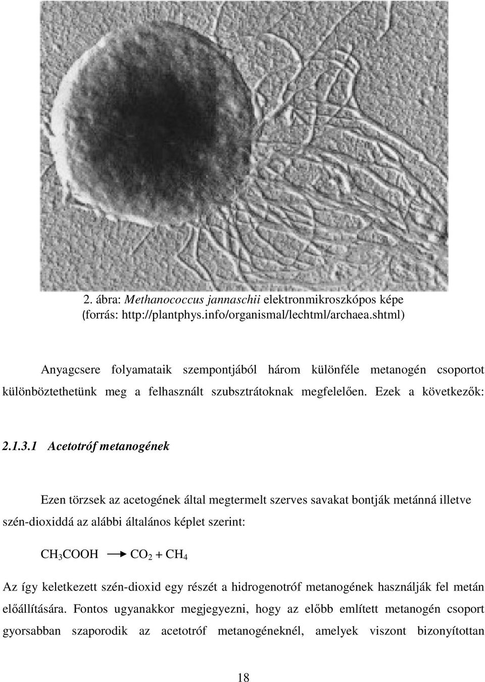 1 Acetotróf metanogének Ezen törzsek az acetogének által megtermelt szerves savakat bontják metánná illetve szén-dioxiddá az alábbi általános képlet szerint: CH 3 COOH CO 2 + CH 4 Az