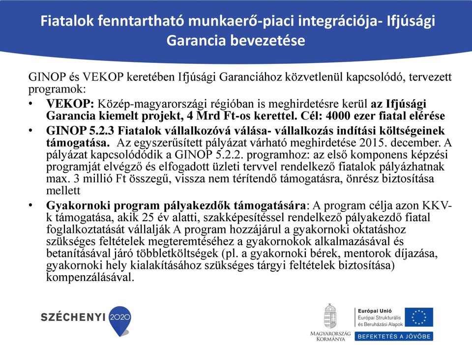 3 Fiatalok vállalkozóvá válása- vállalkozás indítási költségeinek támogatása. Az egyszerűsített pályázat várható meghirdetése 20