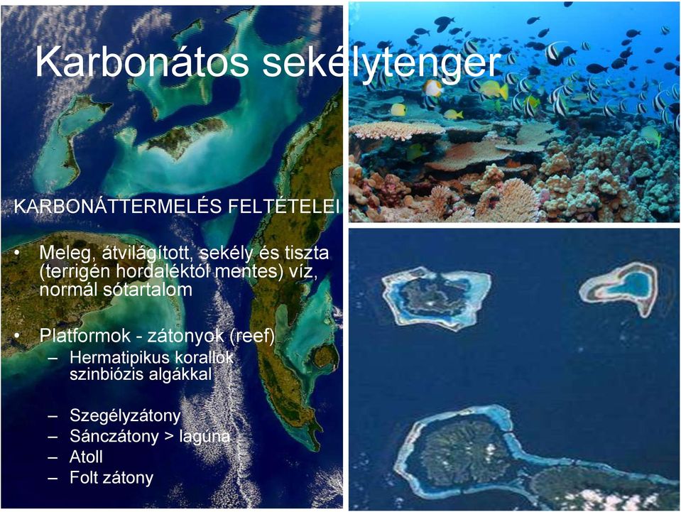 normál sótartalom Platformok - zátonyok (reef) Hermatipikus