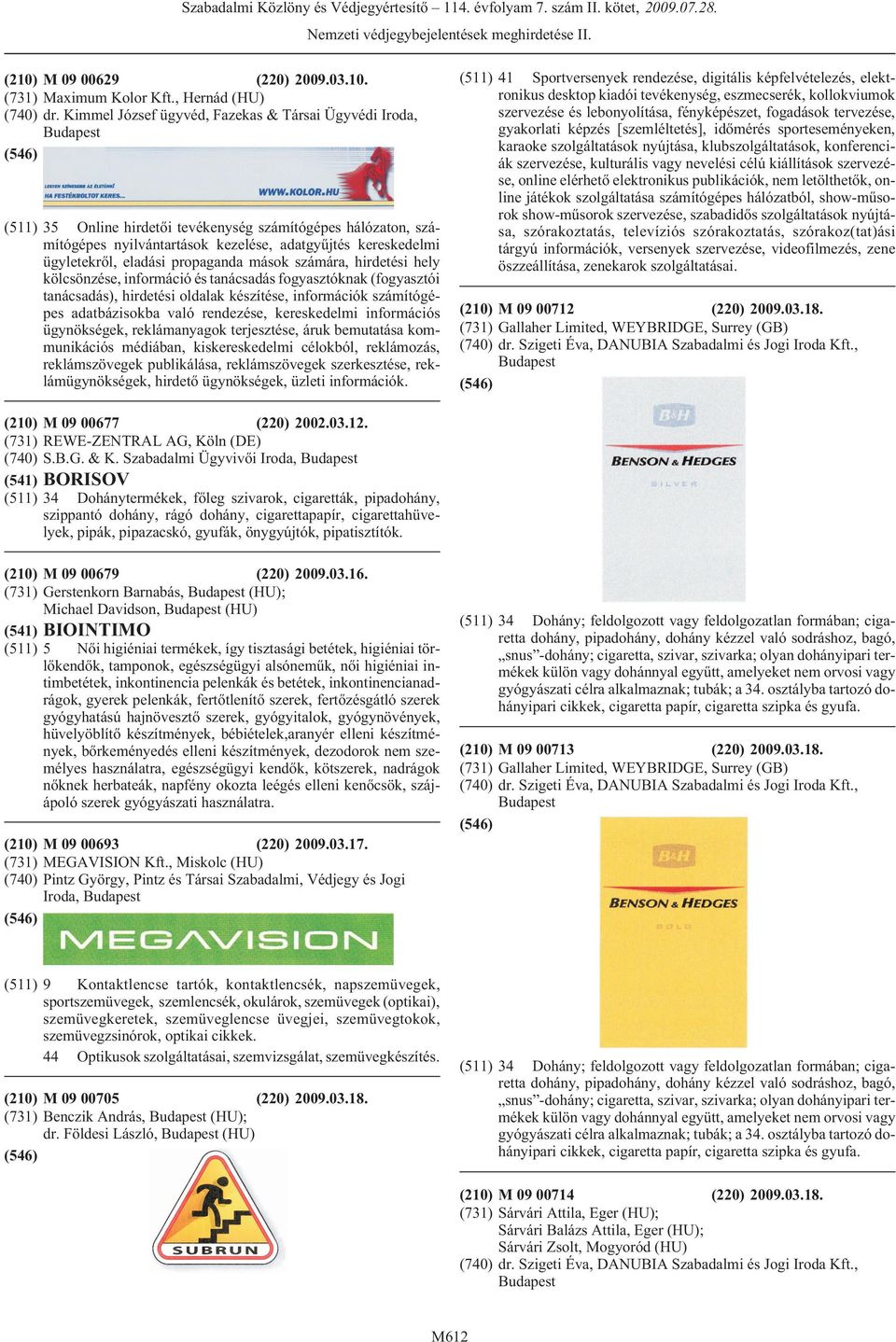 propaganda mások számára, hirdetési hely kölcsönzése, információ és tanácsadás fogyasztóknak (fogyasztói tanácsadás), hirdetési oldalak készítése, információk számítógépes adatbázisokba való
