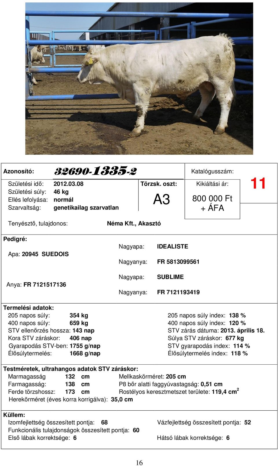 , Akasztó Nagyapa: IDEALISTE Nagyanya: FR 5813099561 Nagyapa: SUBLIME Nagyanya: FR 7121193419 205 napos súly: 354 kg 205 napos súly index: 138 % 400 napos súly: 659 kg 400 napos súly index: 120 %