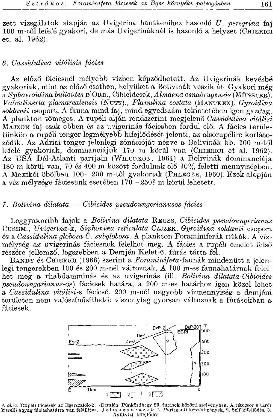 Az Uvigerinák kevésbé gyakoriak, mint az előző esetben, helyüket a Bolivinák veszik át. Gyakori még a Sphaeroidina bulloides D'ORB., Cibicidesek, Almaena osnabrugensis (MÜNSTER).