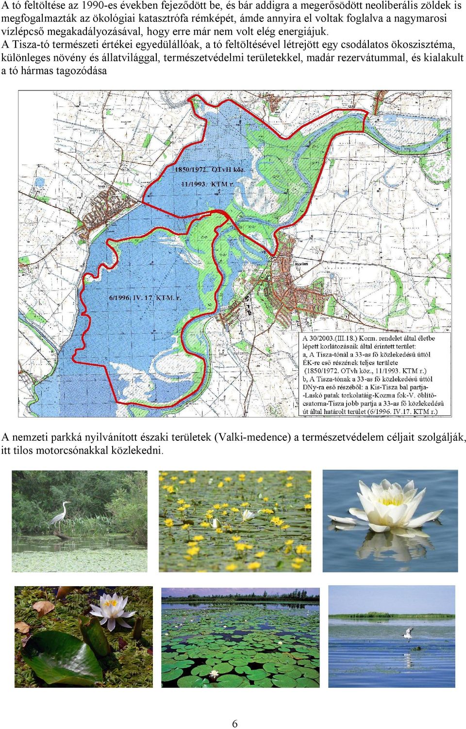 A Tisza-tó természeti értékei egyedülállóak, a tó feltöltésével létrejött egy csodálatos ökoszisztéma, különleges növény és állatvilággal, természetvédelmi