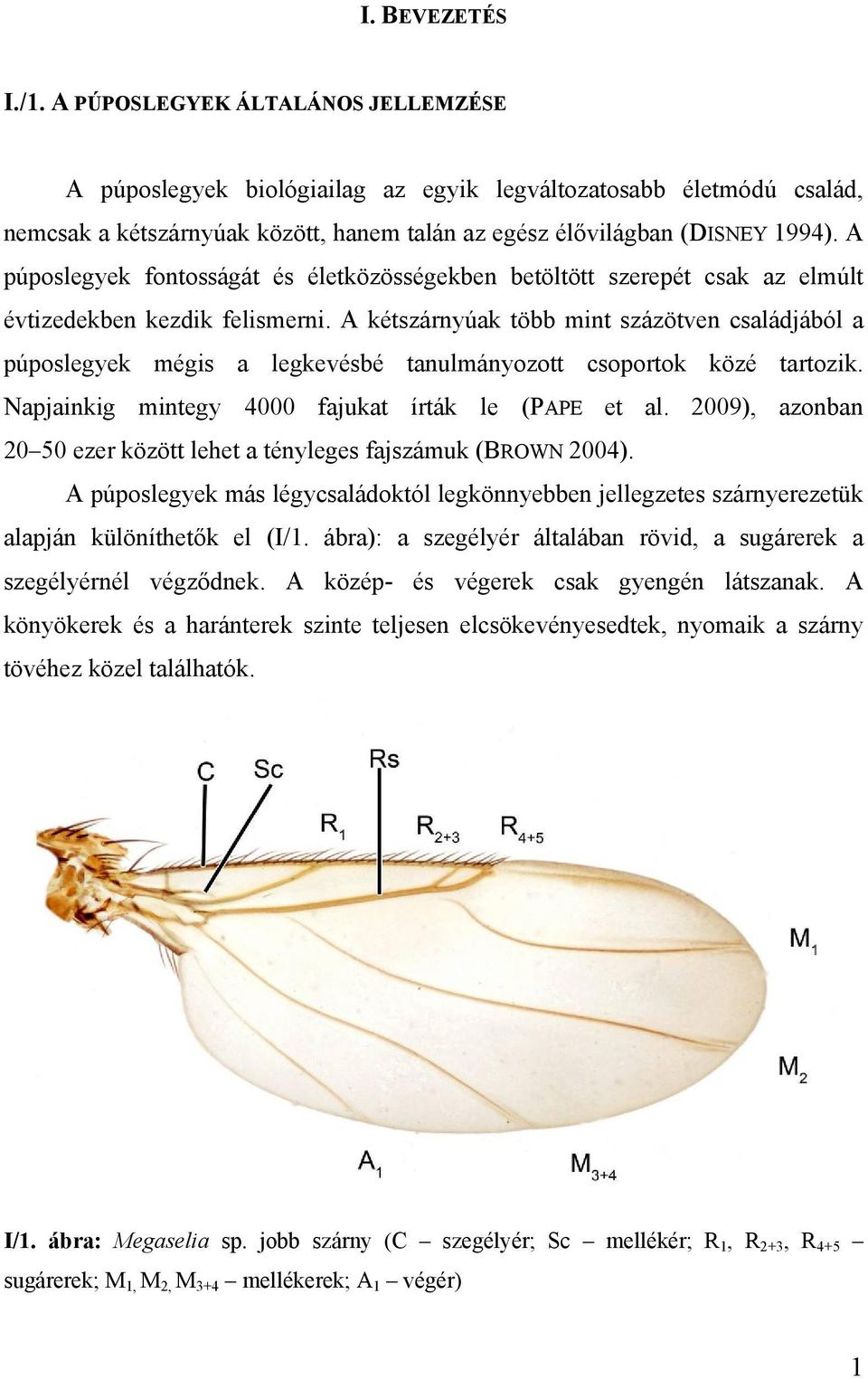 A púposlegyek fontosságát és életközösségekben betöltött szerepét csak az elmúlt évtizedekben kezdik felismerni.