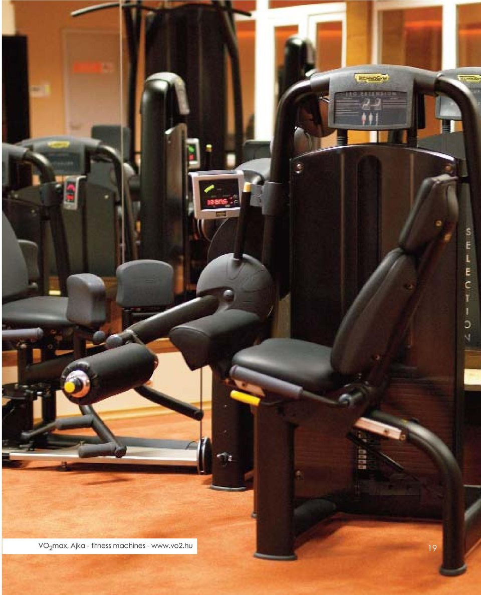 fitness