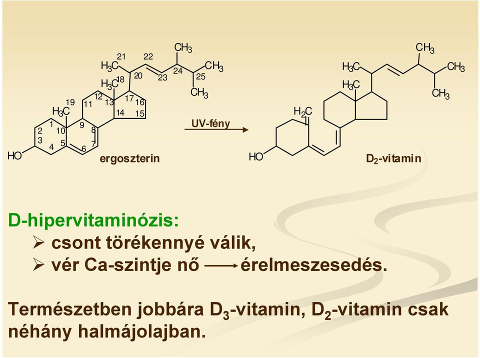 2 -vitamin D-hipervitaminózis: csont törékennyé válik, vér Ca-szintje nő