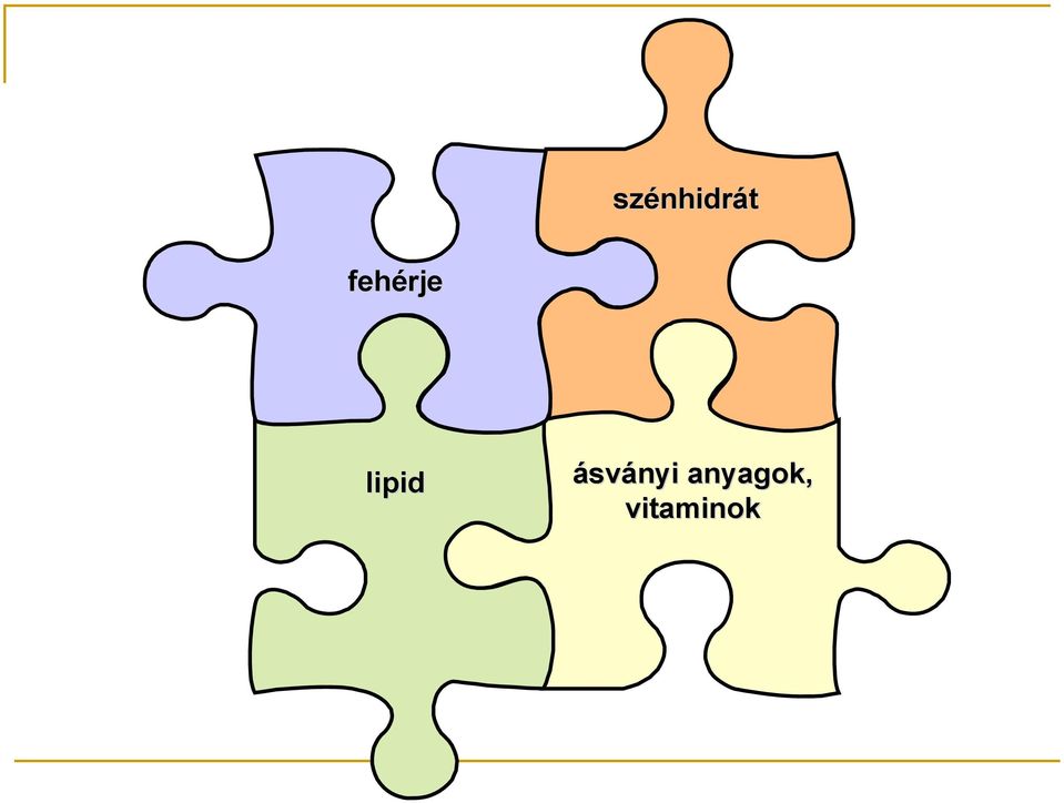 fehérje lipid