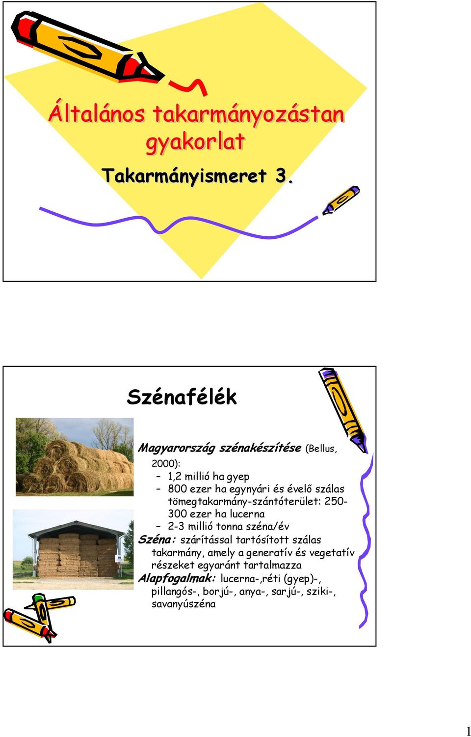 tömegtakarmány-szántóterület: 250-300 ezer ha lucerna 2-3 millió tonna széna/év Széna: szárítással tartósított