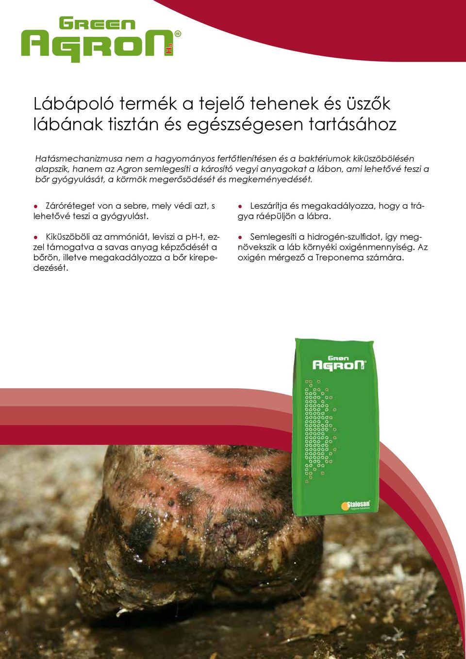 Záróréteget von a sebre, mely védi azt, s lehetővé teszi a gyógyulást.