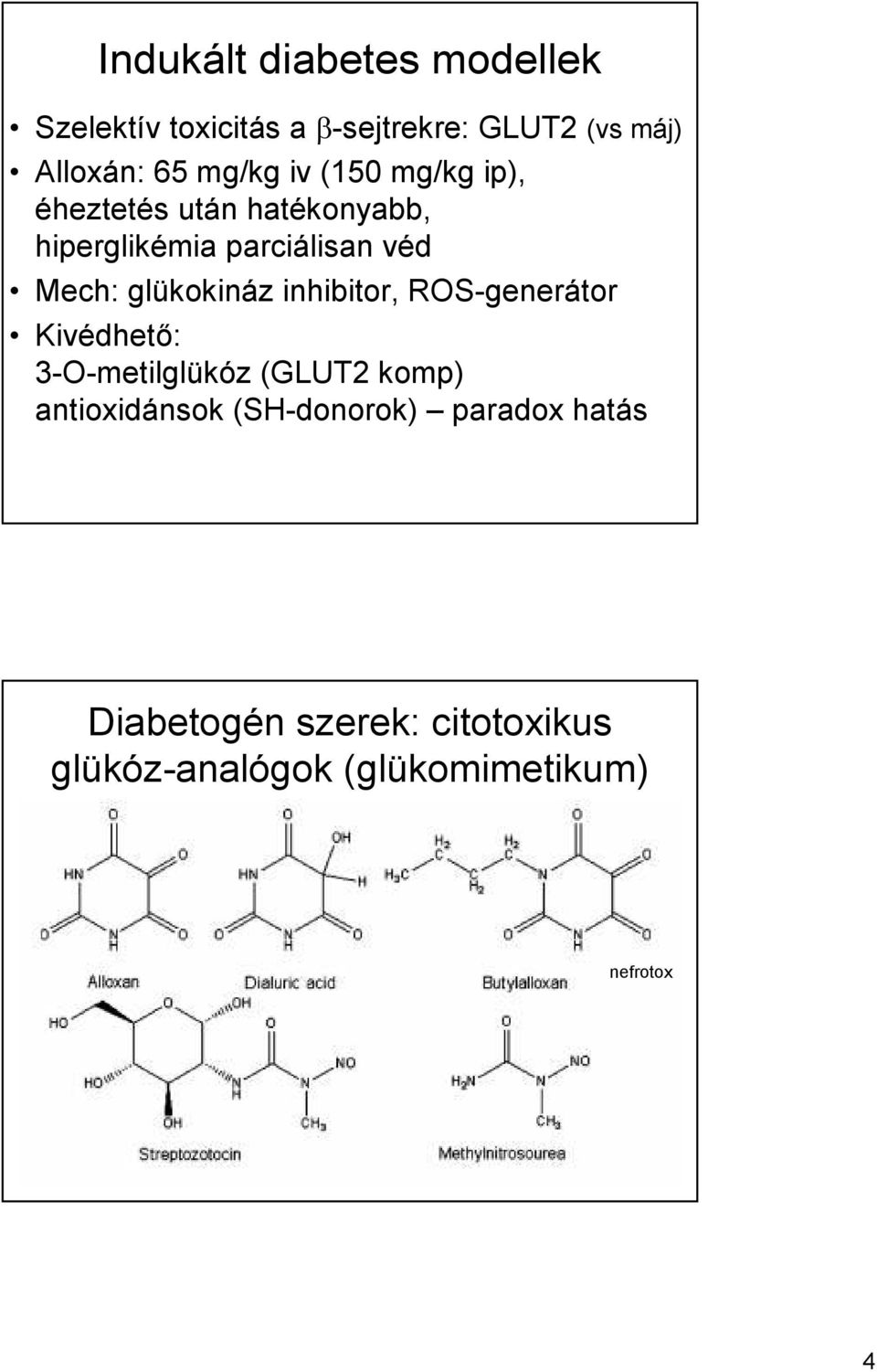 glükokináz inhibitor, ROS-generátor Kivédhetı: 3-O-metilglükóz (GLUT2 komp) antioxidánsok