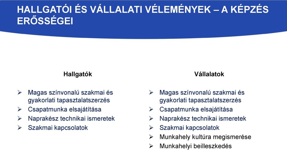 kapcsolatok Magas színvonalú szakmai  kapcsolatok Munkahely kultúra megismerése Munkahelyi