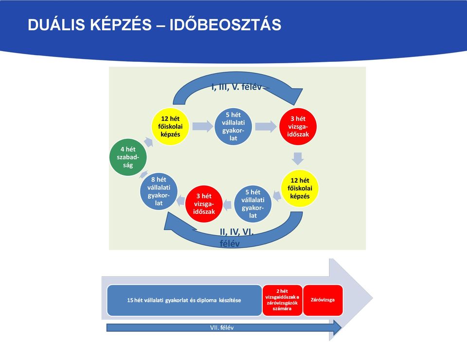 vállalati gyakorlat 3 hét vizsgaidőszak 8 hét vállalati