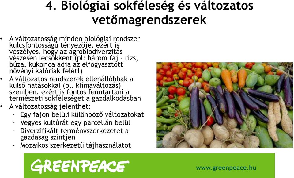 ) A változatos rendszerek ellenállóbbak a külső hatásokkal (pl.