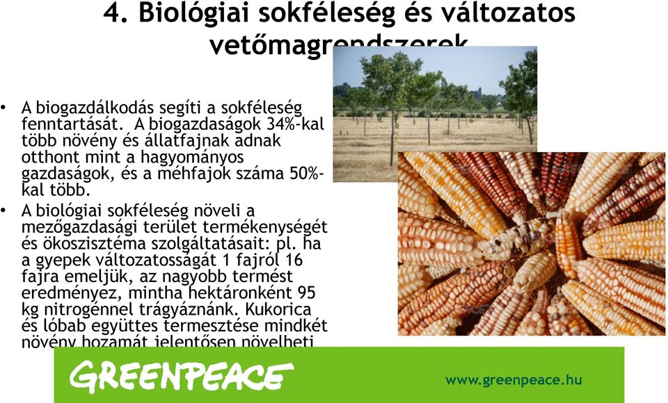 A biológiai sokféleség növeli a mezőgazdasági terület termékenységét és ökoszisztéma szolgáltatásait: pl.