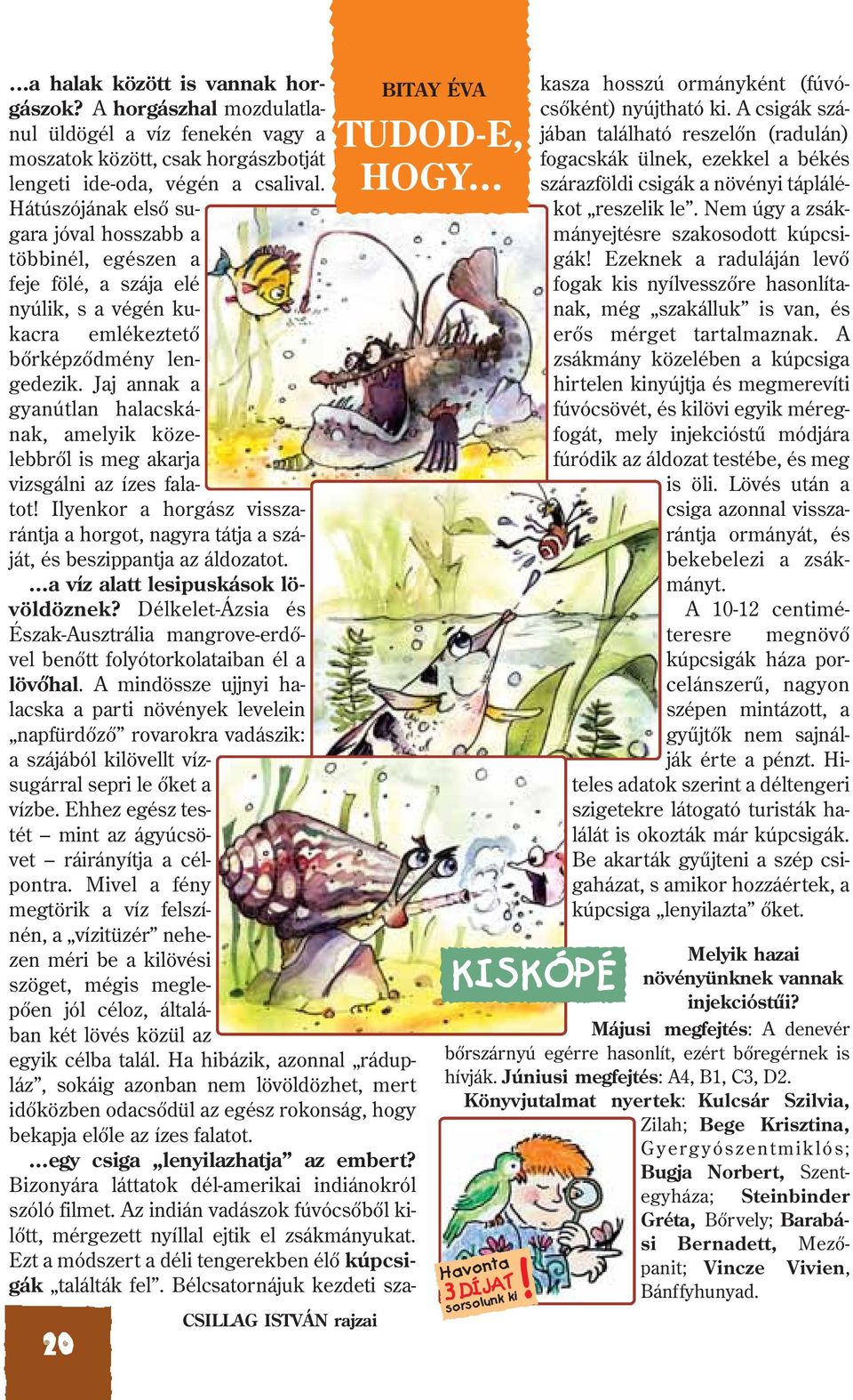 Jaj annak a gyanútlan halacskának, amelyik közelebbrõl is meg akarja vizsgálni az ízes falatot! Ilyenkor a horgász visszarántja a horgot, nagyra tátja a száját, és beszippantja az áldozatot.