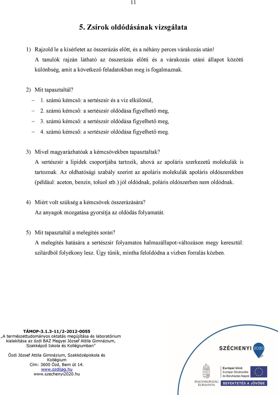 számú kémcső: a sertészsír és a víz elkülönül, 2. számú kémcső: a sertészsír oldódása figyelhető meg, 3. számú kémcső: a sertészsír oldódása figyelhető meg, 4.