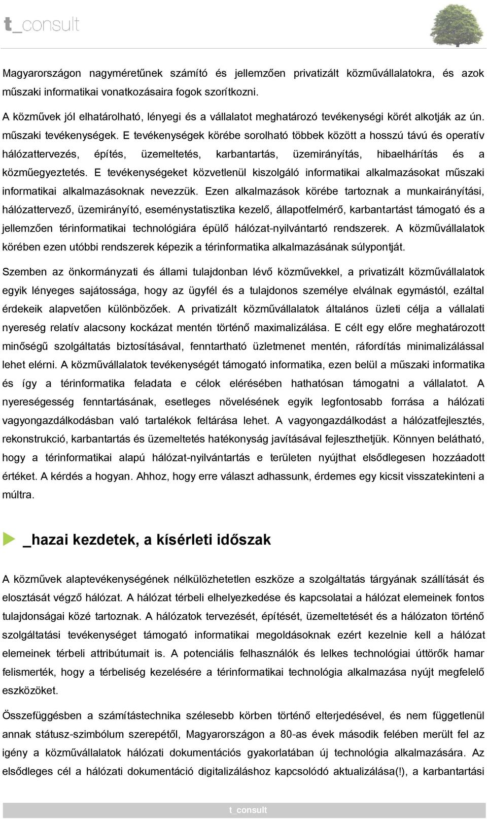 E tevékenységek körébe sorolható többek között a hosszú távú és operatív hálózattervezés, építés, üzemeltetés, karbantartás, üzemirányítás, hibaelhárítás és a közműegyeztetés.