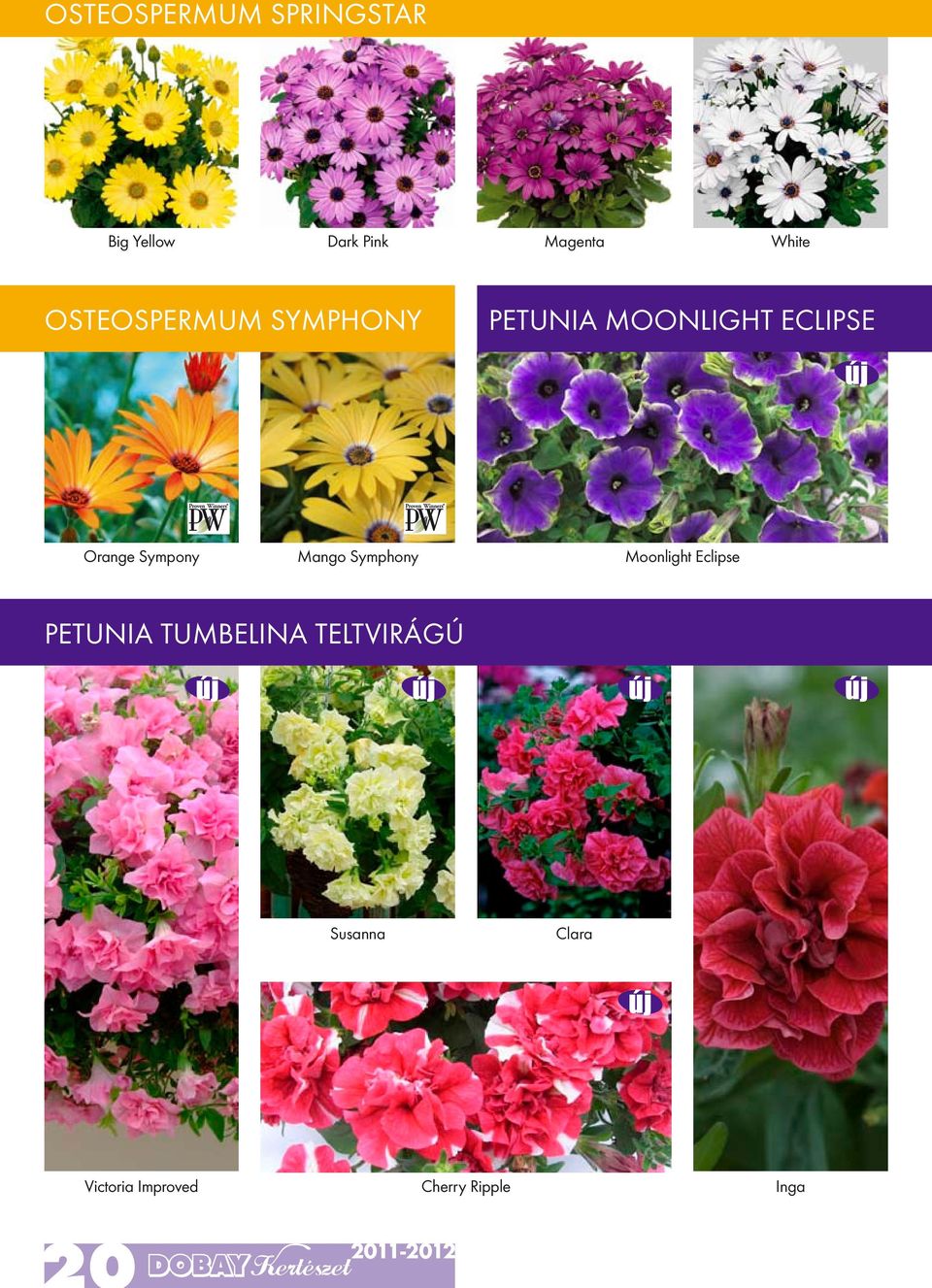 Sympony Mango Symphony Moonlight Eclipse Petunia Tumbelina