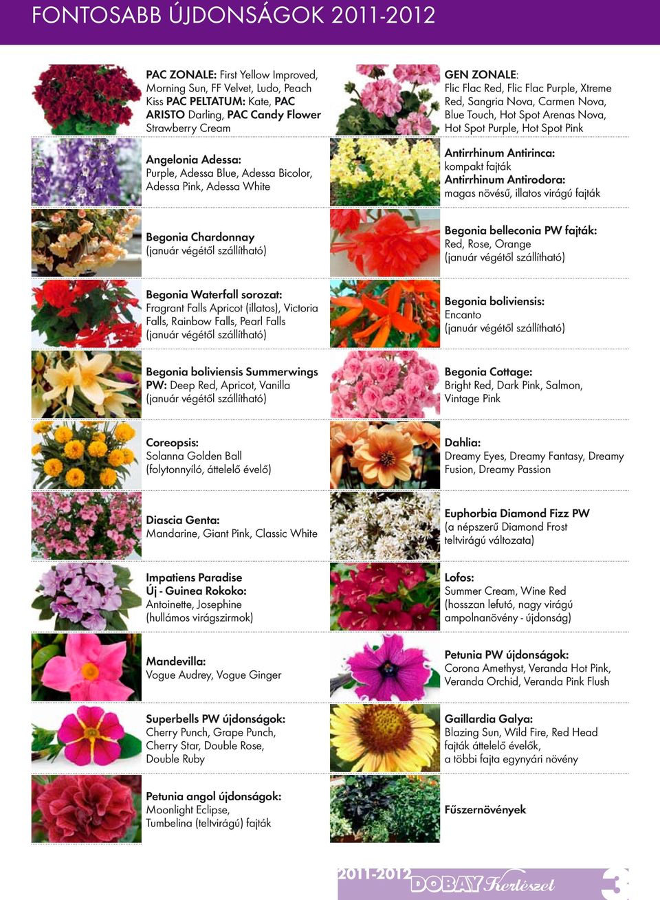 Pink Antirrhinum Antirinca: kompakt fajták Antirrhinum Antirodora: magas növésű, illatos virágú fajták Begonia Chardonnay (január végétől szállítható) Begonia belleconia PW fajták: Red, Rose, Orange