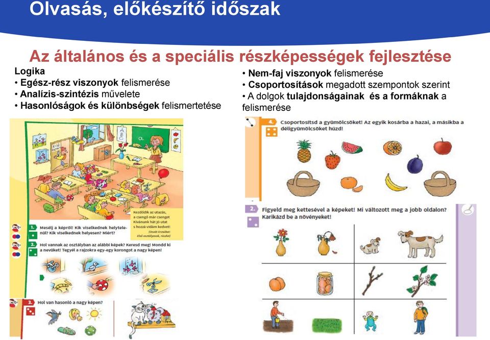 Hasonlóságok és különbségek felismertetése Nem-faj viszonyok felismerése