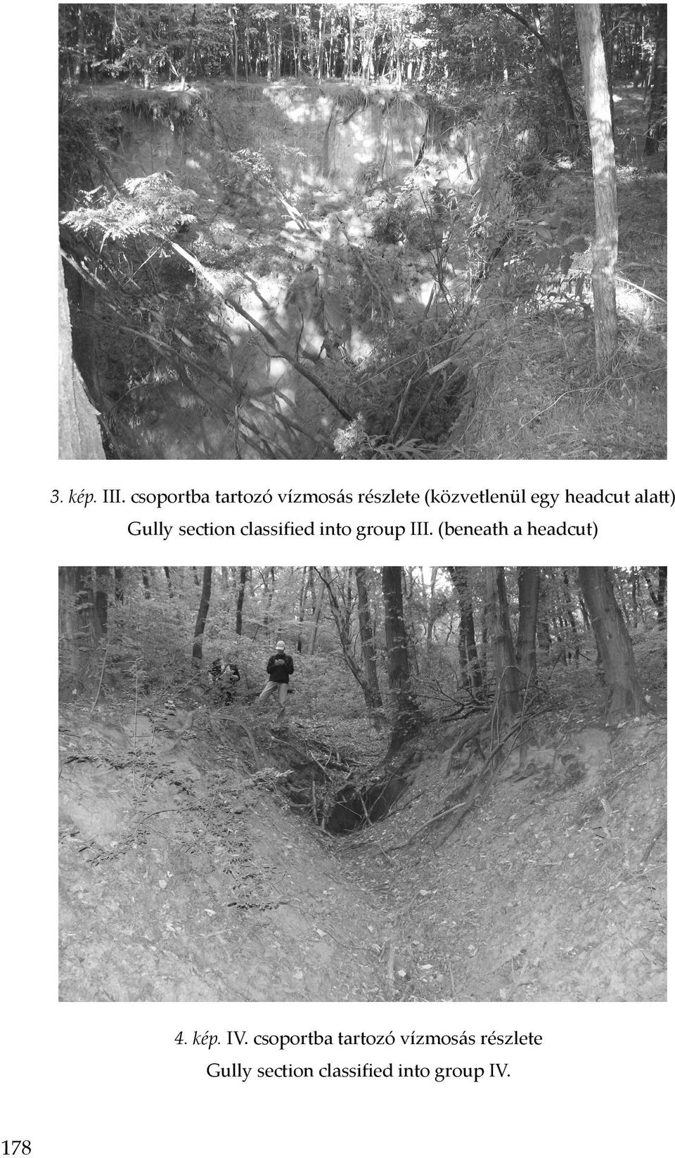 Gully section classified into group III. (beneath a headcut) 4. kép.