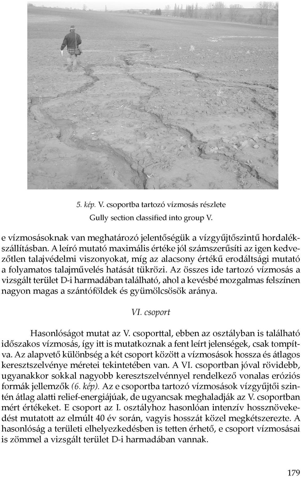 Az összes ide tartozó vízmosás a vizsgált terület D-i harmadában található, ahol a kevésbé mozgalmas felszínen nagyon magas a szántóföldek és gyümölcsösök aránya. VI. csoport Hasonlóságot mutat az V.