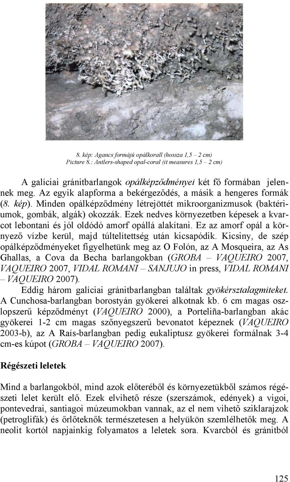 Ezek nedves környezetben képesek a kvarcot lebontani és jól oldódó amorf opállá alakítani. Ez az amorf opál a környező vízbe kerül, majd túltelítettség után kicsapódik.