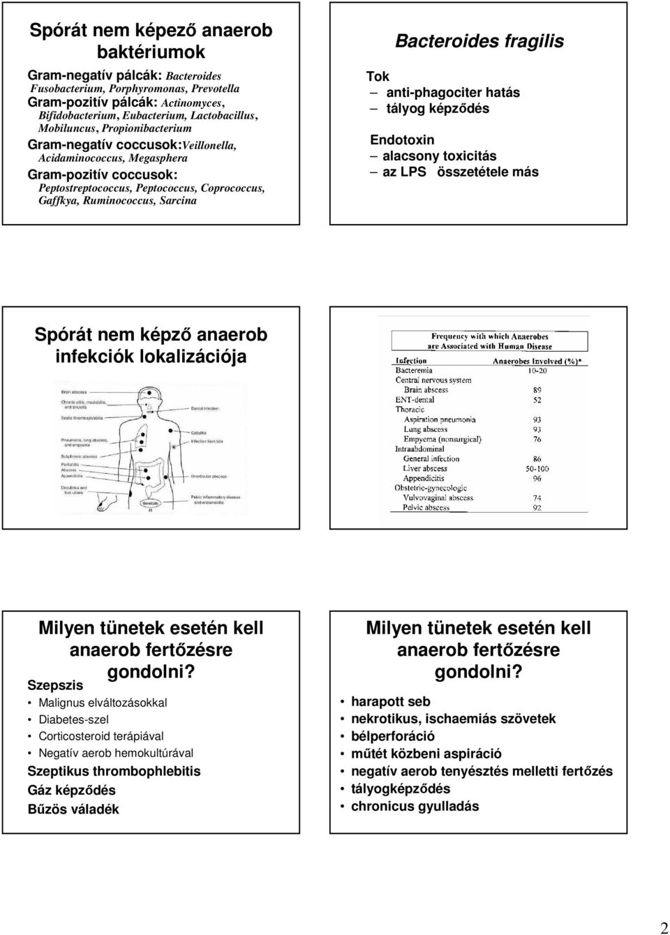 Bacteroides fragilis Tok anti-phagociter hatás tályog képződés Endotoxin alacsony toxicitás az LPS összetétele más Spórát nem képző anaerob infekciók lokalizációja Milyen tünetek esetén kell anaerob