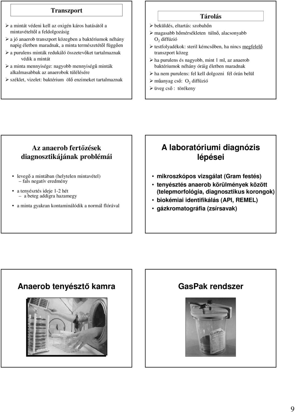 tartalmaznak Tárolás beküldés, eltartás: szobahőn magasabb hőmérsékleten túlnő, alacsonyabb O 2 diffúzió testfolyadékok: steril kémcsőben, ha nincs megfelelő transzport közeg ha purulens és nagyobb,