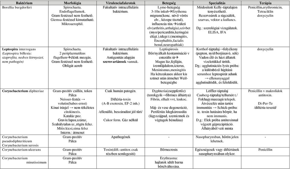 Gram festéssel nem festhető. Obligát aerob baktérium. Antigenitás alapján szerovariánsok vannak. Lyme-betegség 3-10n inkub Erythema migrans(konc. növő vörös elv., közepe tisztul), influenzás tün.