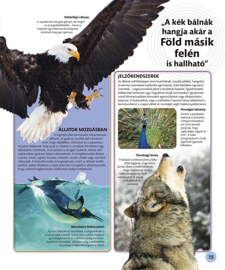 Még azok az állatok is, amelyek felnőttként egy élőhelyhez kötődnek, mint például a tengeri makkok, életük első szakaszában gyakran helyet változtatnak.