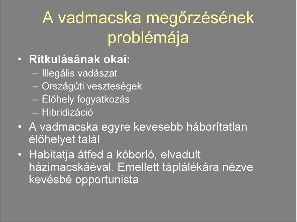 vadmacska egyre kevesebb háborítatlan élőhelyet talál Habitatja átfed