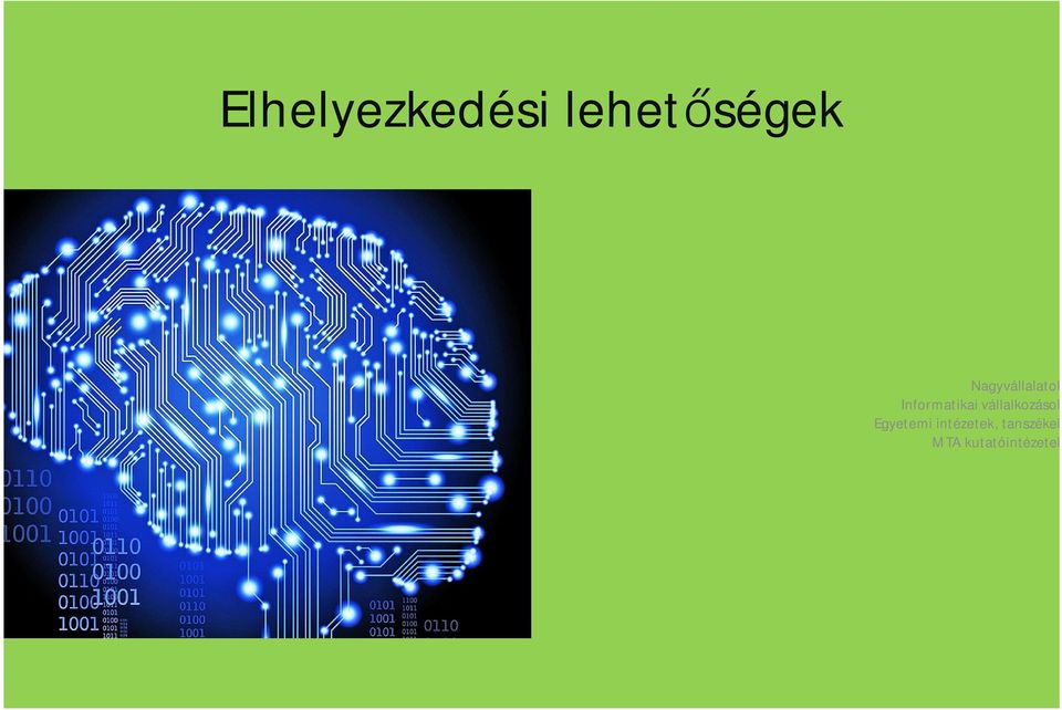 vállalkozások Egyetemi