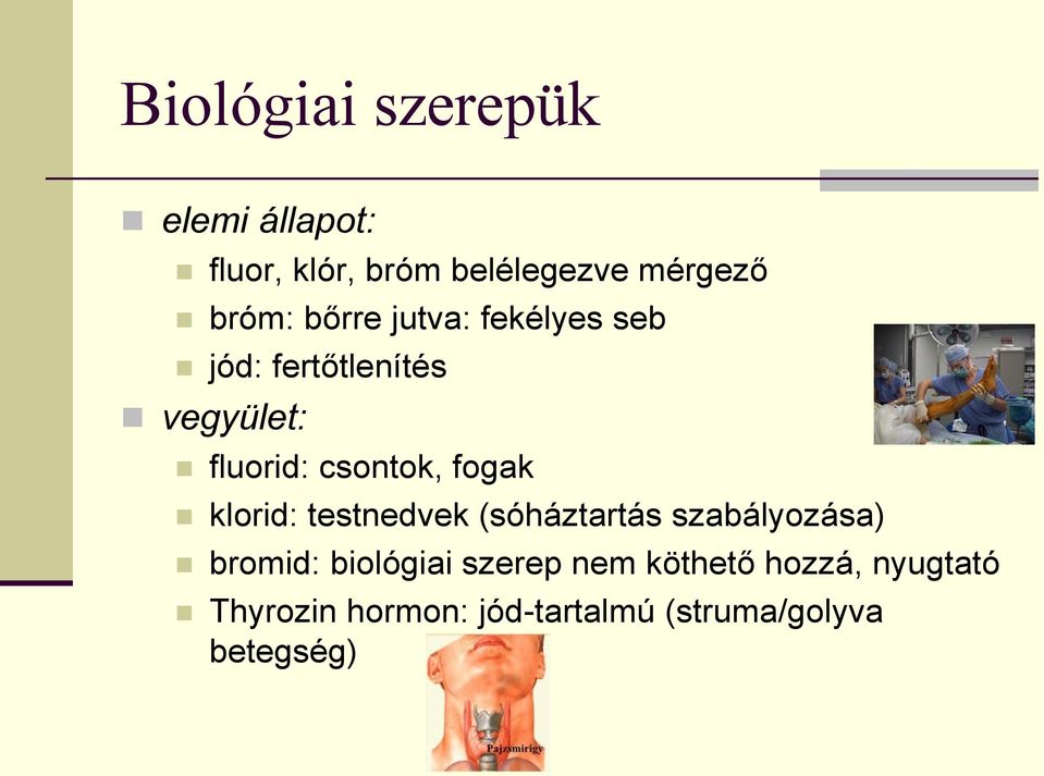 fogak klorid: testnedvek (sóháztartás szabályozása) bromid: biológiai szerep