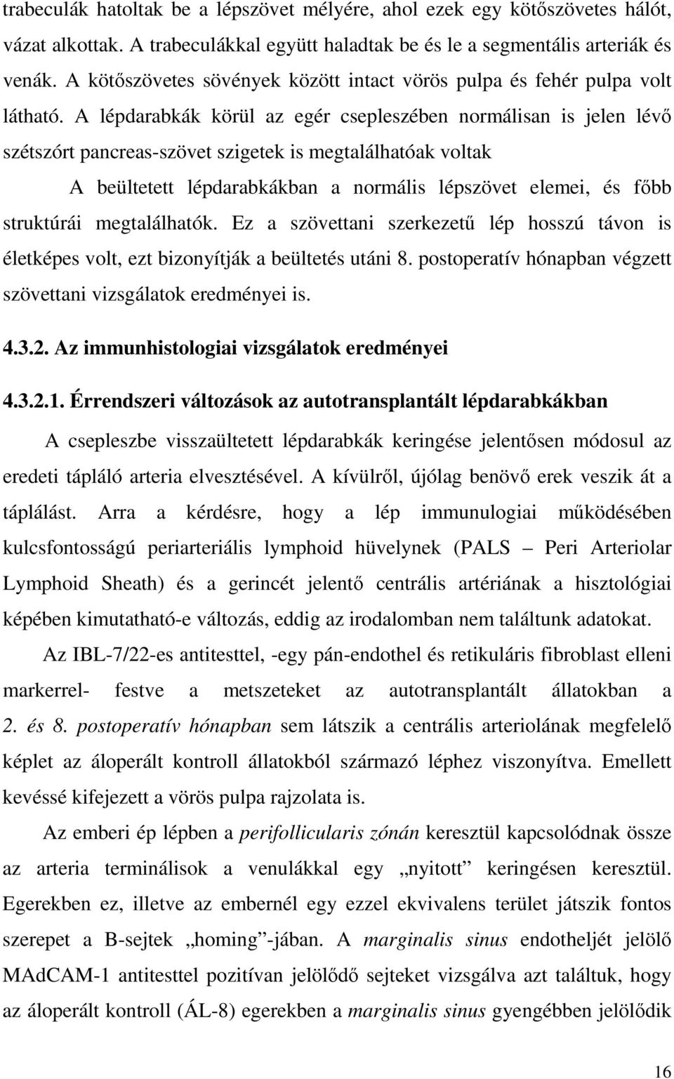 A lépdarabkák körül az egér csepleszében normálisan is jelen lévı szétszórt pancreas-szövet szigetek is megtalálhatóak voltak A beültetett lépdarabkákban a normális lépszövet elemei, és fıbb