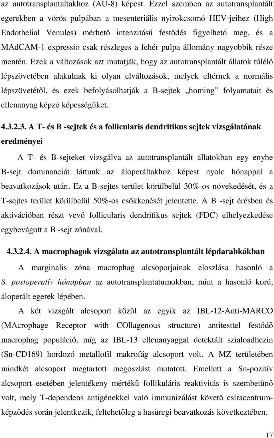 csak részleges a fehér pulpa állomány nagyobbik része mentén.