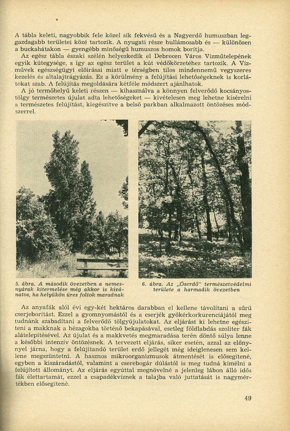 Az egész tábla északi szélén helyezkedik el Debrecen Város Vízműtelepének egyik kútegysége, s így az egész terület a kút védőkörzetéhez tartozik.