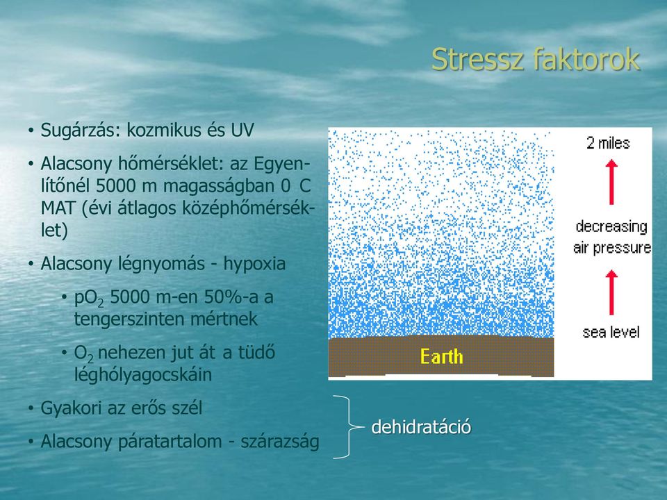 hypoxia po 2 5000 m-en 50%-a a tengerszinten mértnek O 2 nehezen jut át a tüdő