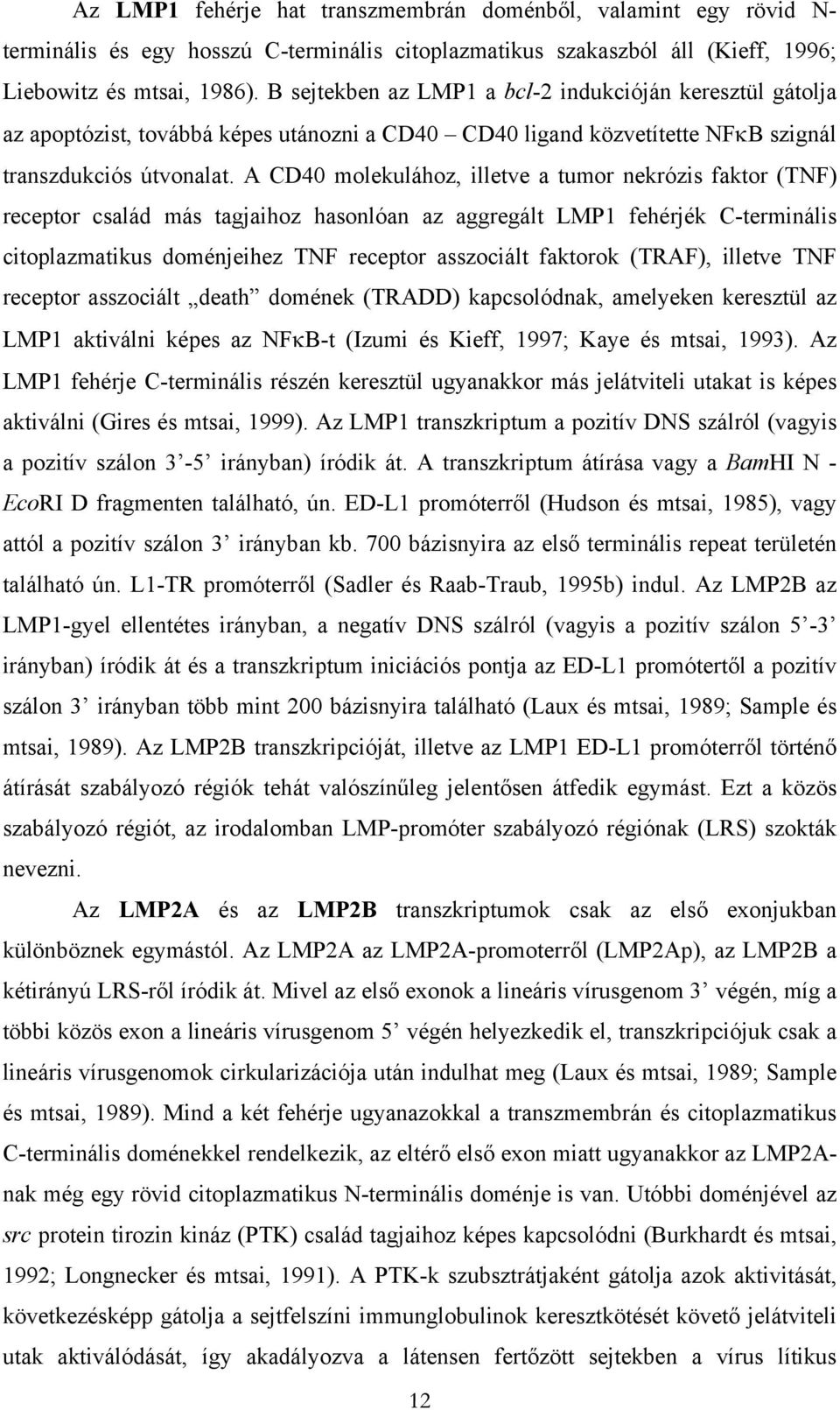 A CD40 molekulához, illetve a tumor nekrózis faktor (TNF) receptor család más tagjaihoz hasonlóan az aggregált LMP1 fehérjék C-terminális citoplazmatikus doménjeihez TNF receptor asszociált faktorok