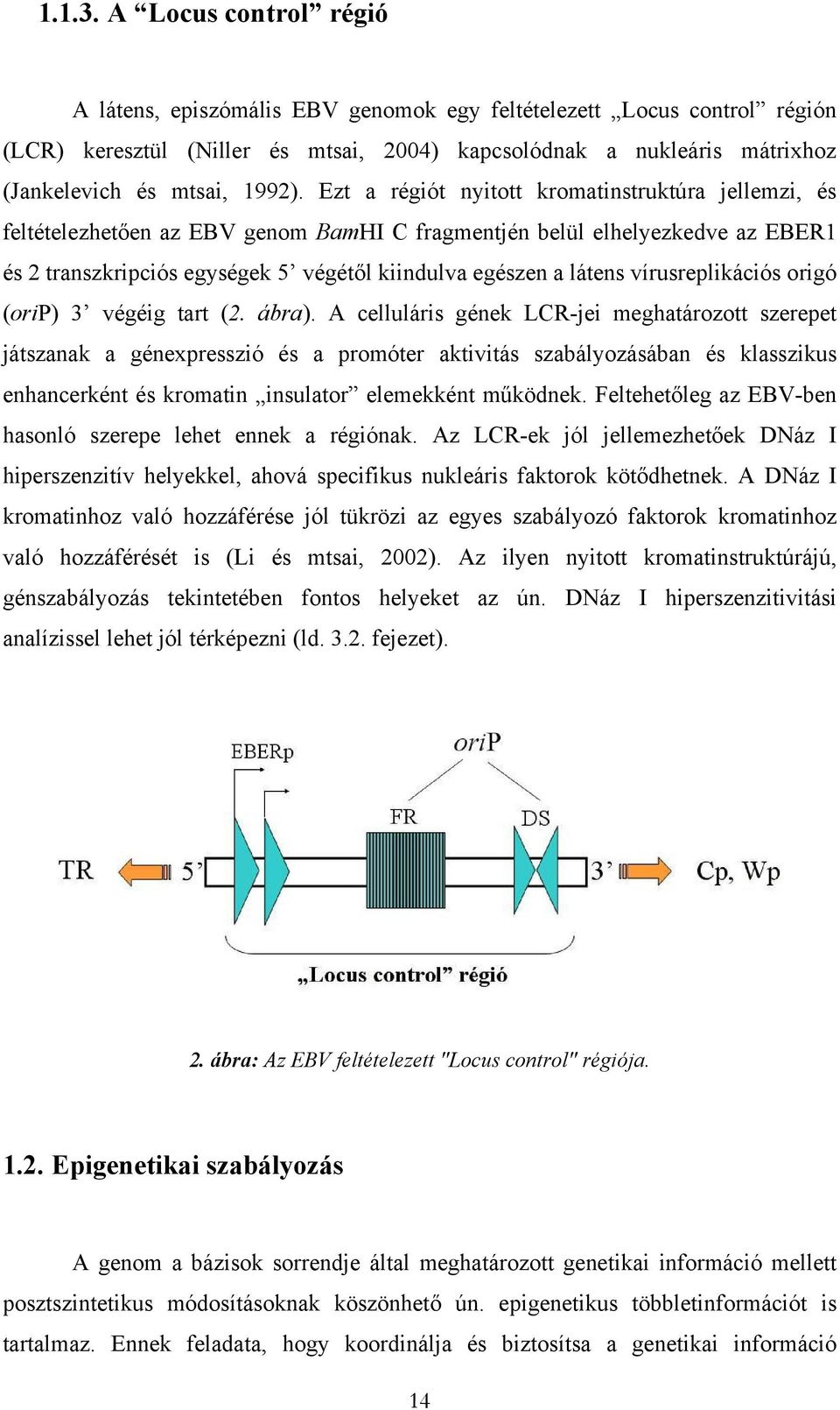 Ezt a régiót nyitott kromatinstruktúra jellemzi, és feltételezhetően az EBV genom BamHI C fragmentjén belül elhelyezkedve az EBER1 és 2 transzkripciós egységek 5 végétől kiindulva egészen a látens