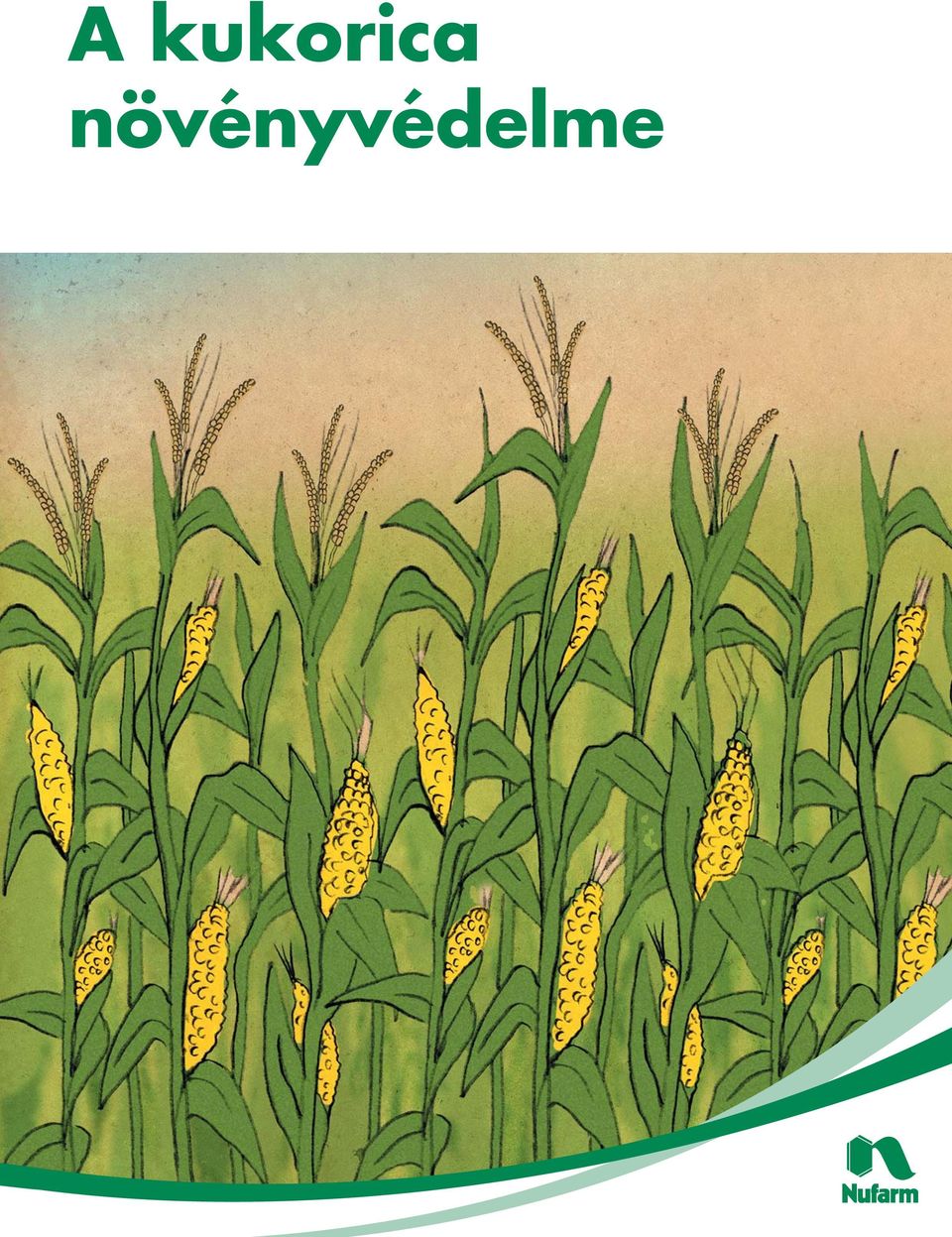 A kukorica növényvédelme - PDF Ingyenes letöltés