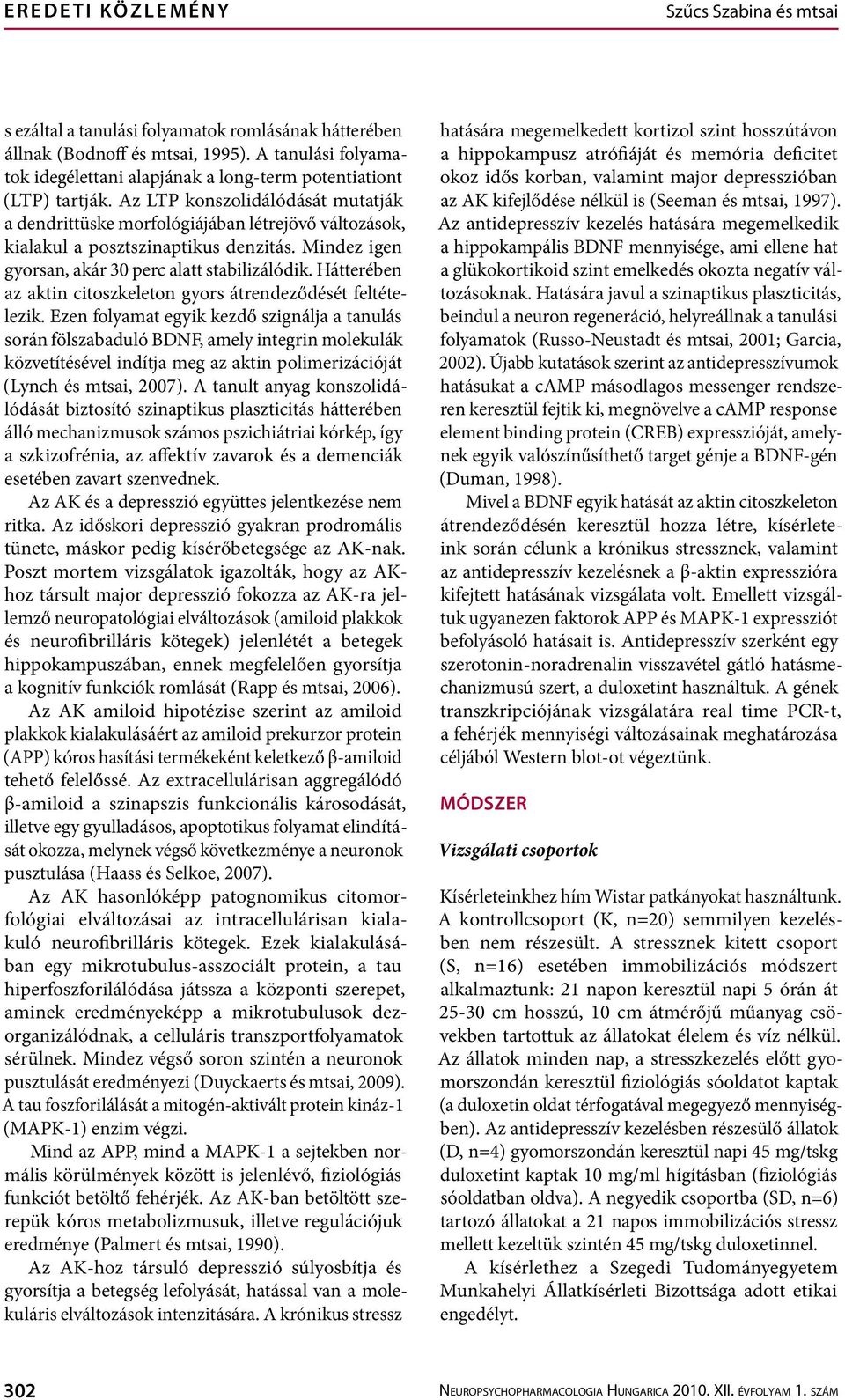Az LTP konszolidálódását mutatják a dendrittüske morfológiájában létrejövő változások, kialakul a posztszinaptikus denzitás. Mindez igen gyorsan, akár 3 perc alatt stabilizálódik.